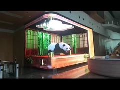 Inwendige vaste LED-scherm