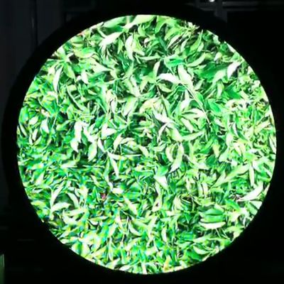 Het binnenvertonings creatieve Geleide die Scherm leidde Tekenraad door minimodule P3 48mm x 48mm wordt verbonden
